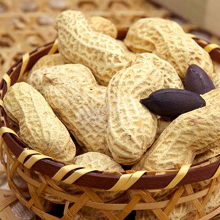 四川特产散装批发休闲食品富硒原味生黑米花生 非熟制黑花生500克|ms