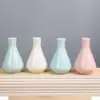 Style 22 (triangular round bottle) 120 pcs/box