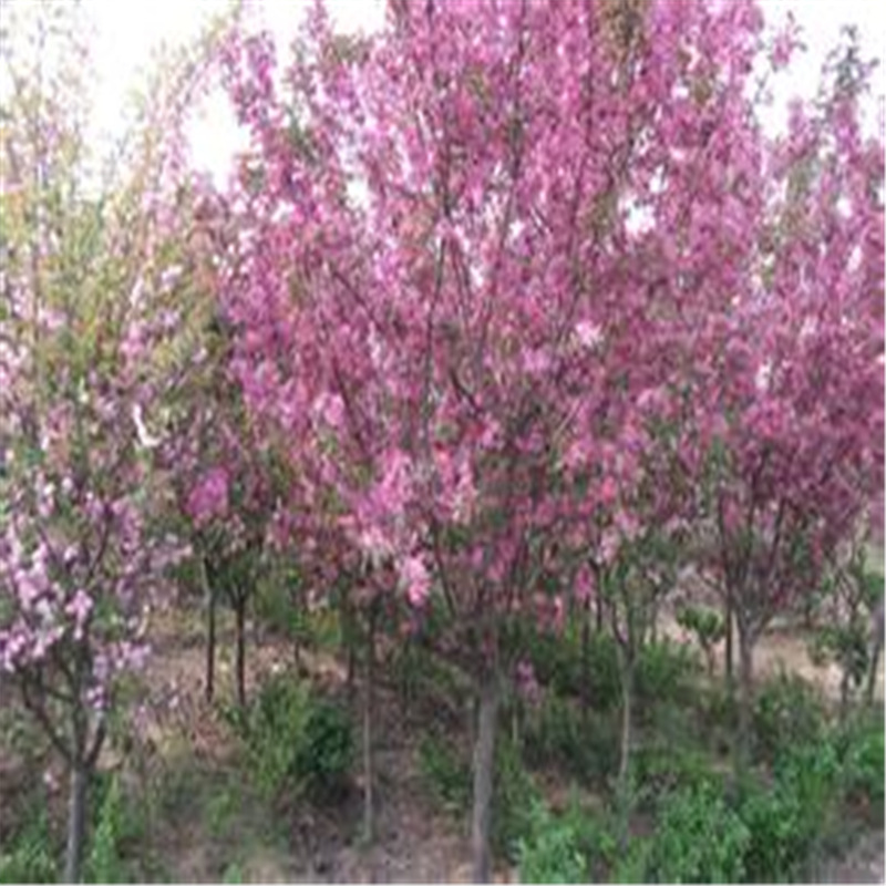 u=3211642803,1026010410&fm