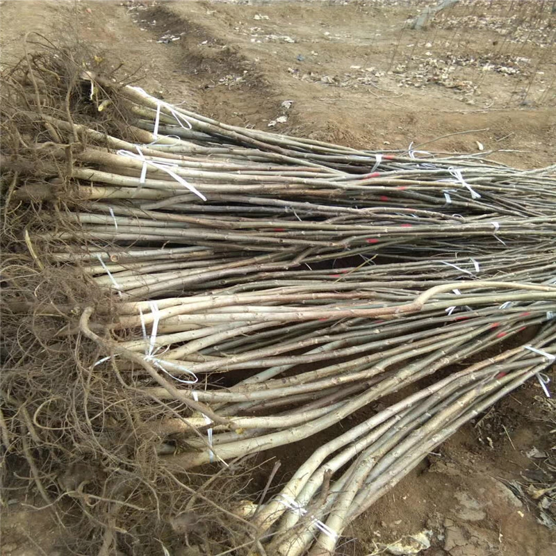 寰俊鍥剧墖_20171205183733