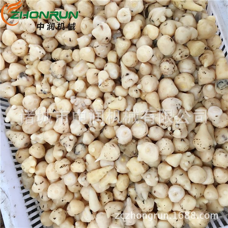 加工不锈钢蒸煮锅 煮的设备 全自动蒸煮锅