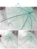 Transparent umbrella cherry blossom umbrella long handle transparent girl goddess Korean retro candy color small fresh Apollo princess