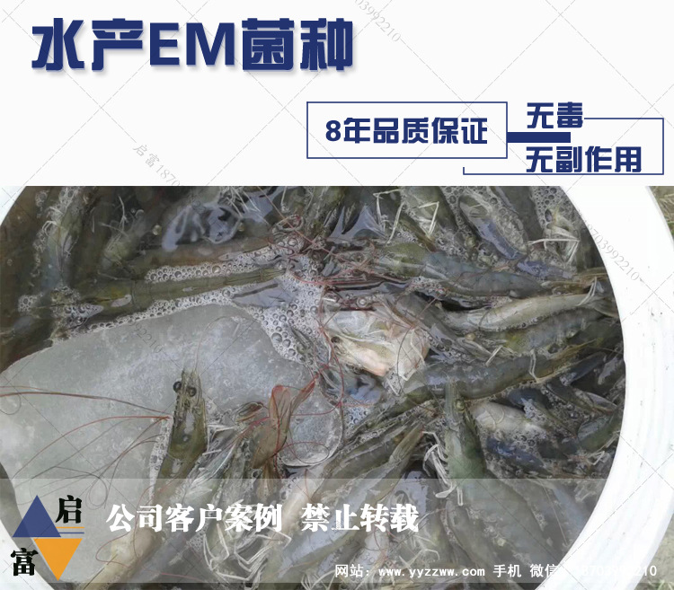 养虾专用em菌粉