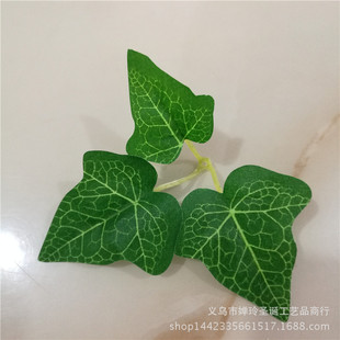 山芋花圖片 海量高清山芋花圖片大全 阿里巴巴