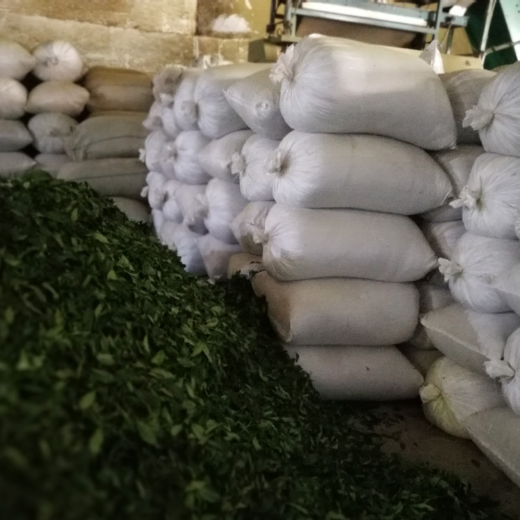 IMG_20170803_145329 - 副本