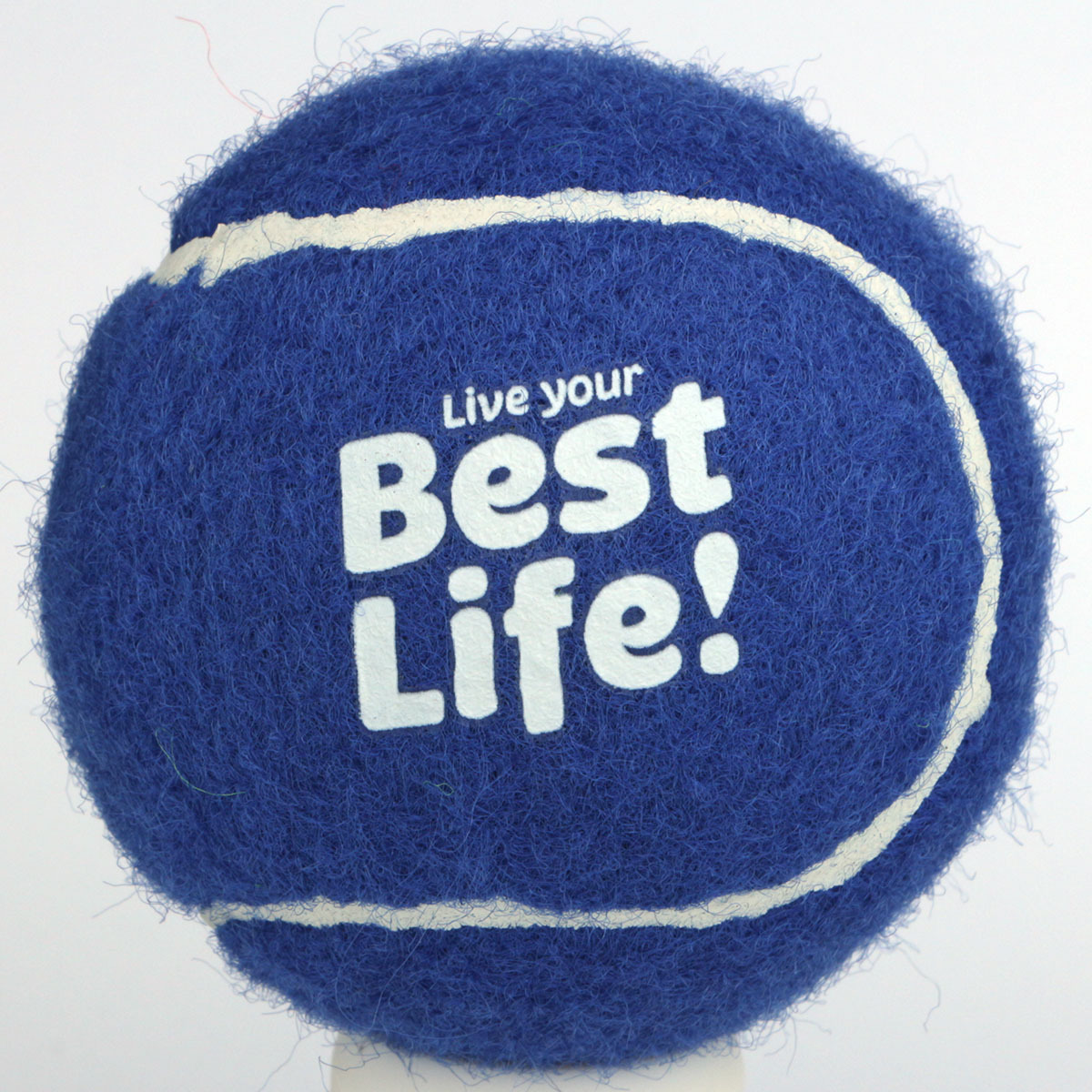 工廠定做白色多色LOGO印刷寵物診所彩色廣告藍色無壓環保寵物網球