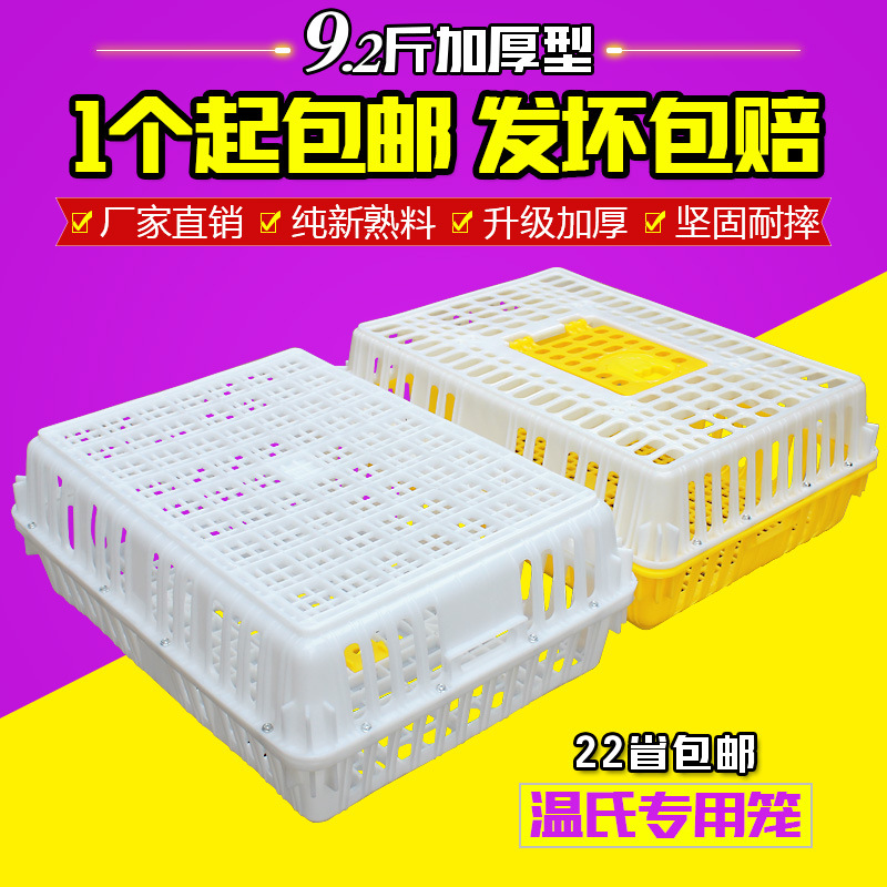 塑料鸡笼加厚运输鸡笼周转箱家用成鸡养殖笼蛋鸡笼子大号厂价批发