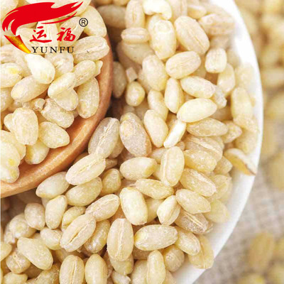 东北杂粮麦仁米500g 黑龙江黑土地产地直发|ms