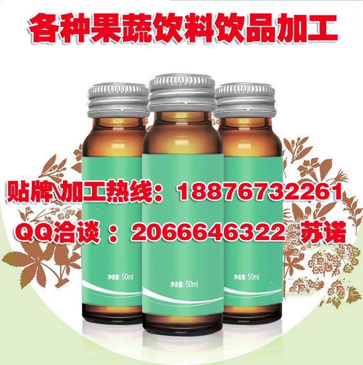 各种果蔬饮料饮品加工