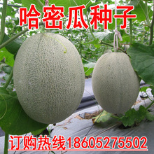 |Ԯ߲ѩؕϹܹϷNӸʹϾWyȫ؛