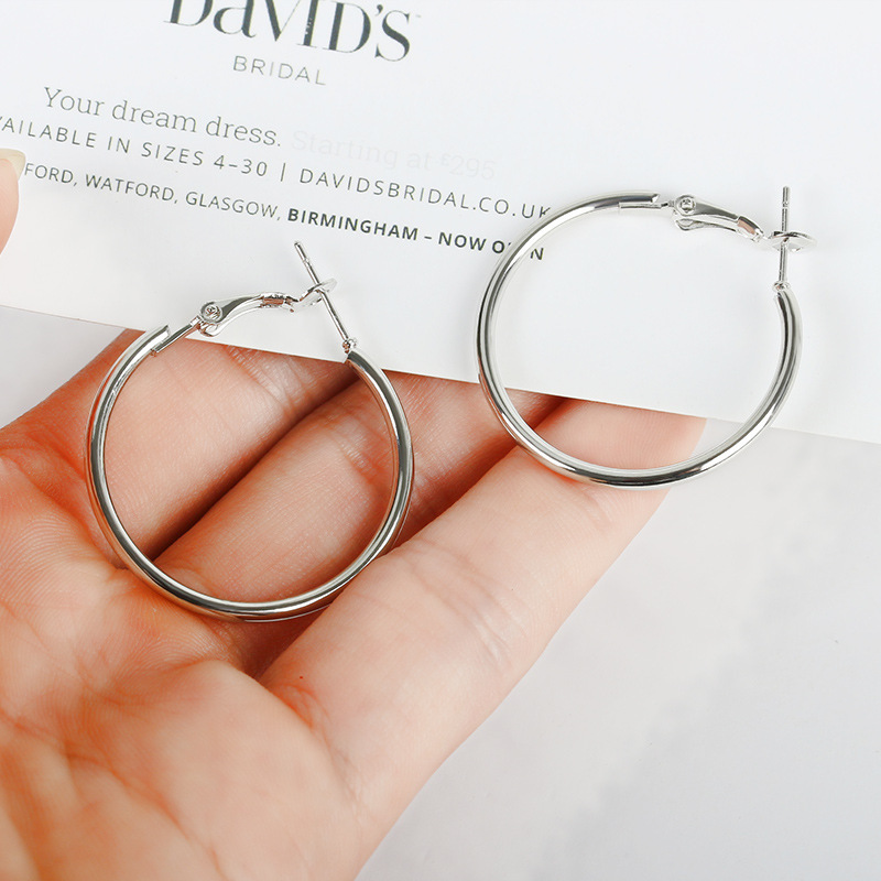 New Simple Geometric Circle Earrings Hypoallergenic Stainless Steel O-ring Hoop Earrings Wholesale display picture 4