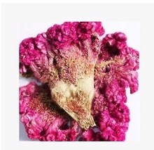 �S��ֱ�N��ș���u�ڻ� �t�u�ڻ���Ȼ����а�ɫ�u�ڻ�500����؛