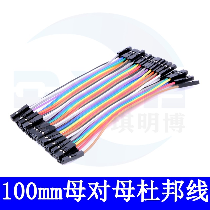 100mm母对母杜邦线