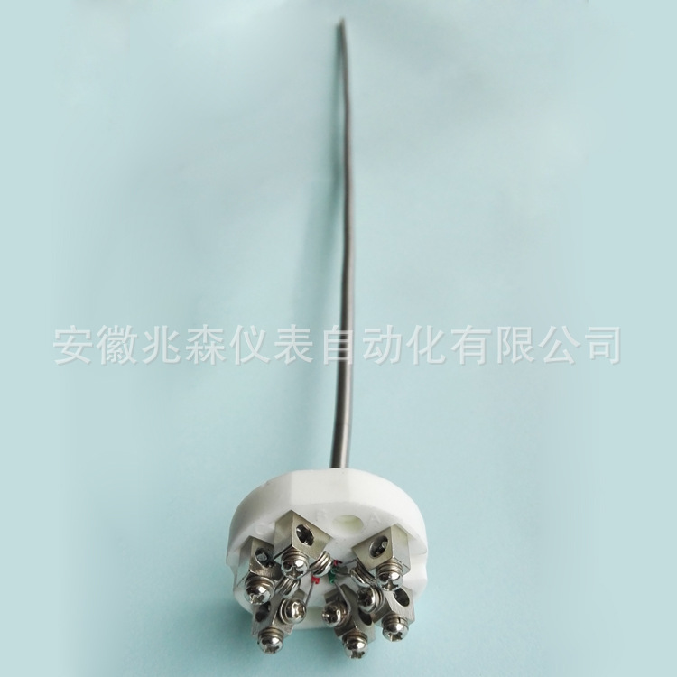 铠装热电阻芯 WZPK2-105 WZPK2-010双支铠装热电阻芯WZPK2-106