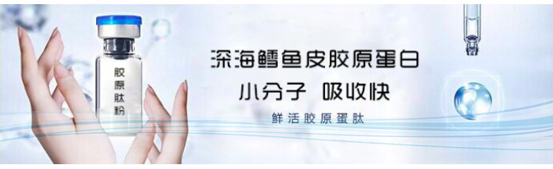 胶原蛋白科普2