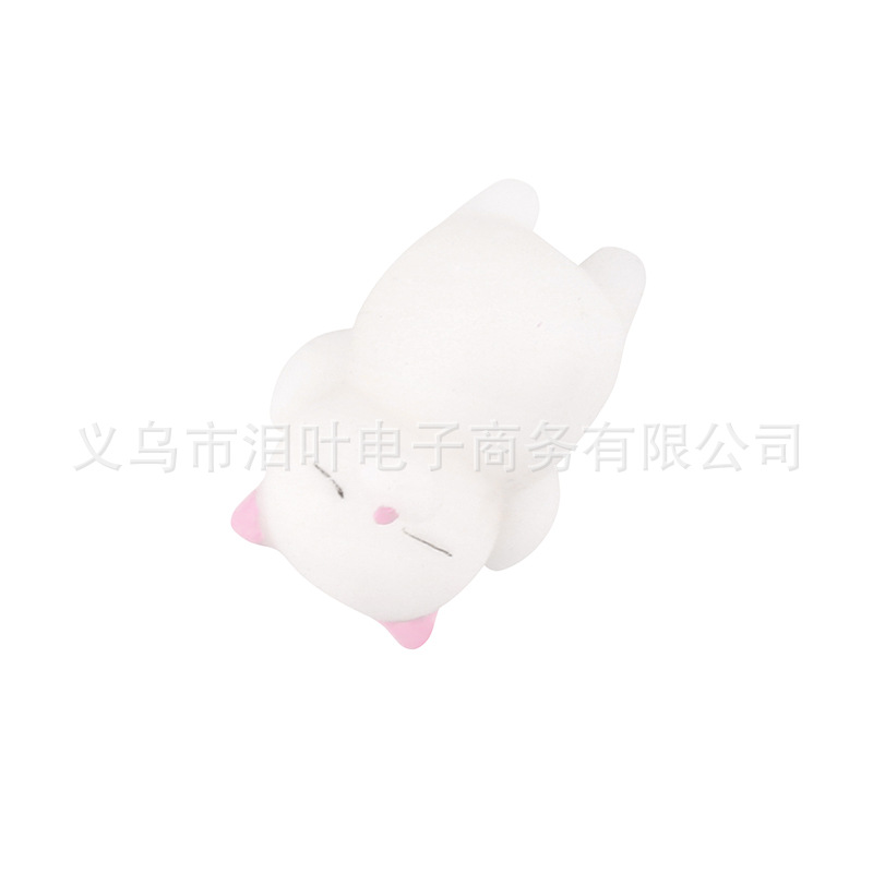 파우더 수면 고양이