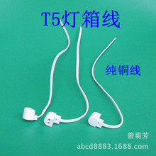 T5���侀/���Ǿ�/���_��