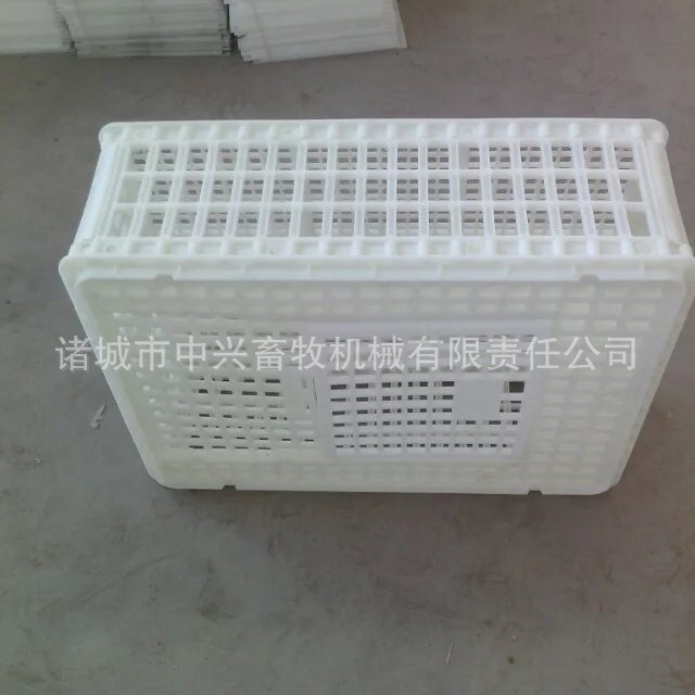 塑料周转箱 大鸡周转筐 优质塑料成鸡周转筐厂家