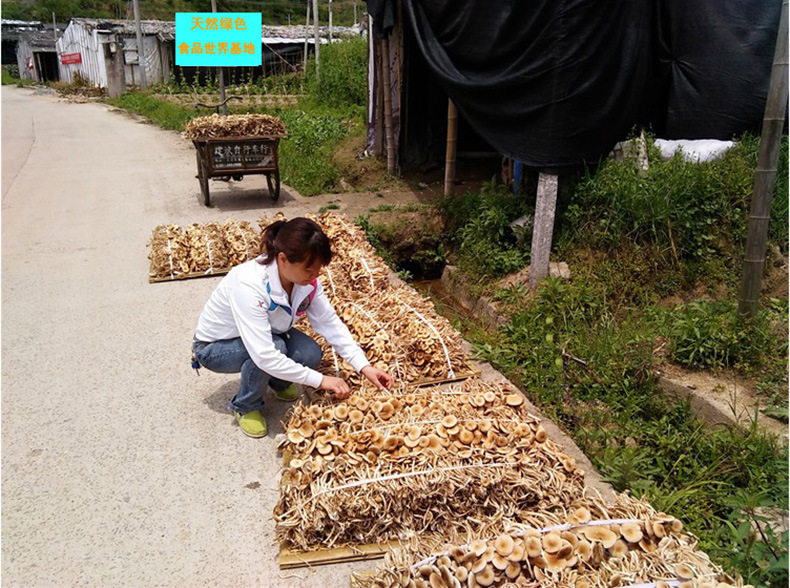 aHR0cHM6Ly9pbWcuYWxpY2RuLmNvbS