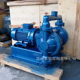 DBY-50 隔膜泵 电动隔膜泵 不锈钢电动隔膜泵 防爆电动隔膜泵