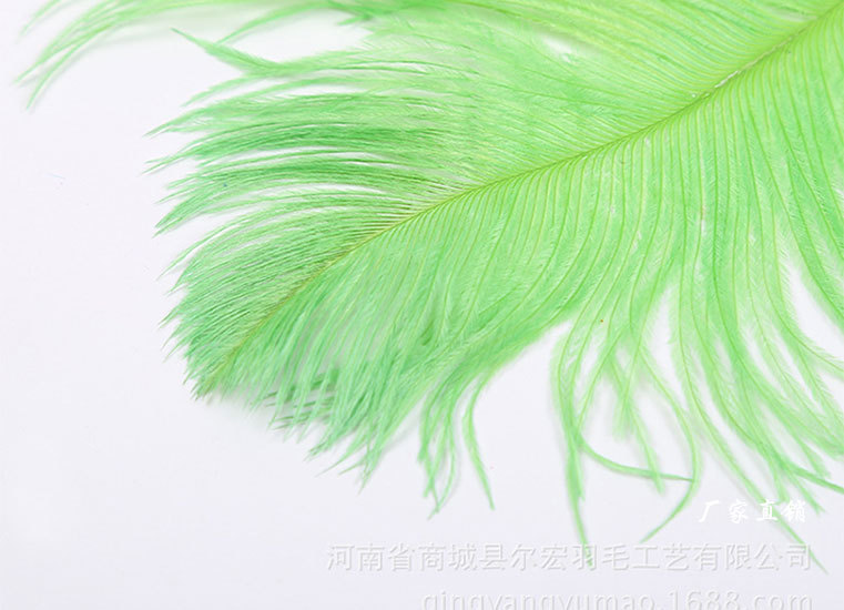 55-60果绿详情页面模板_12