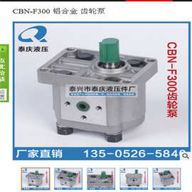 泰庆液压件CBW-F300齿轮泵厂家销售CBN-F310压力泵CBN-G306润滑泵