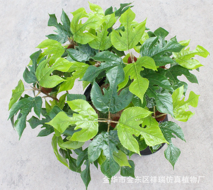 XRB-164构叶三叉枝立体2