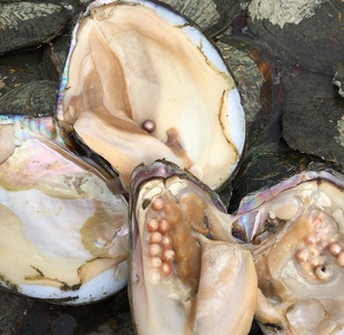 ����� ������������ؐСؐ��ˮ���� ɽ�º��S��ֱ�N