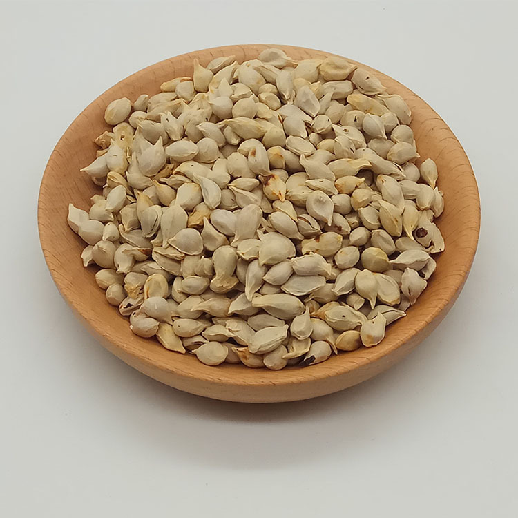 Low Temperature Baked Tangerine Seed Ju He Dried Citrus Seed for Herbal Decoction and Soup key features