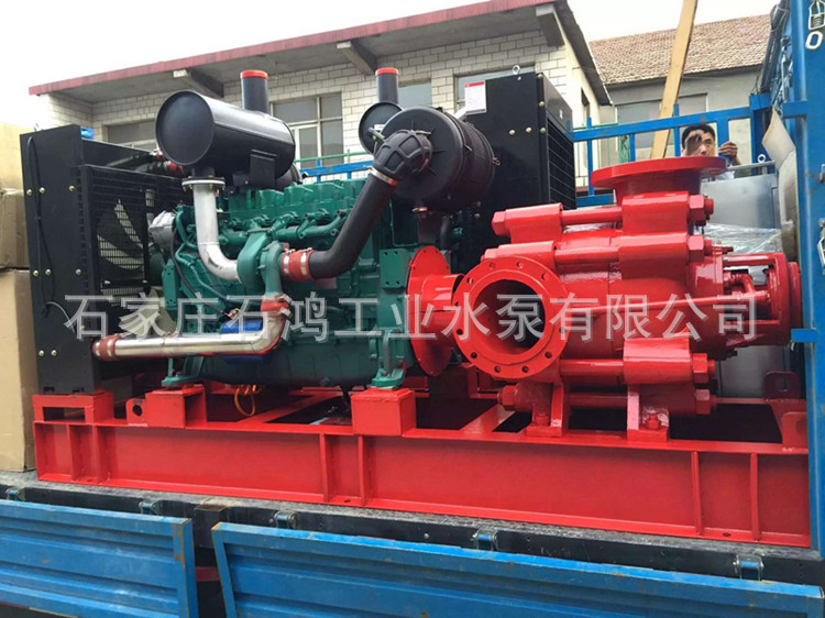 3307817637_784916269_副本