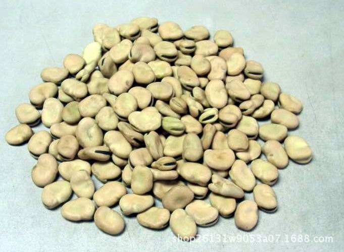 蚕豆选种用什么溶液