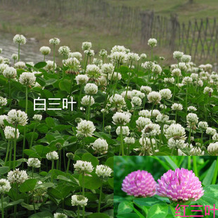 �׻����~�ݷN�Ӽt���~�����M�ڷN�����l���\�ݷN�ӹ��̾G�����~��