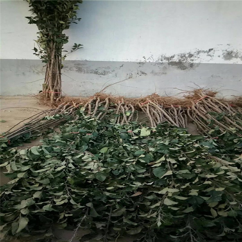 寰俊鍥剧墖_20171029102406