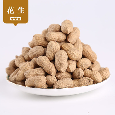 厂家直供生花生 带壳花生 花生米生产地货源 生花生散装现货批发
