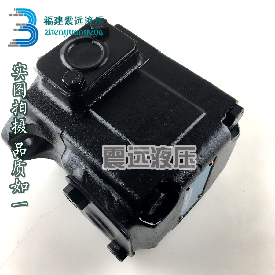 DENISON丹尼逊叶片泵T6D 020 (1R00 1R01 1R02 1R03) A1/B1/C1