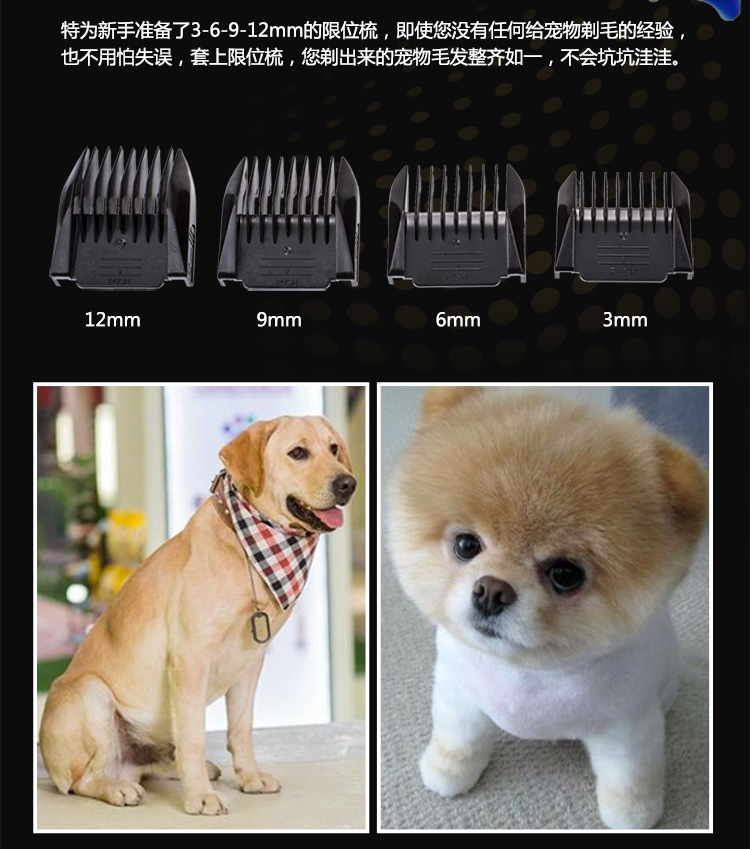 P60充插两用款750_08