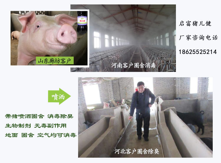 仔猪专用em菌使用步骤说明