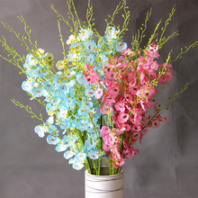 �͏d���Ҹ��b�ˇ�����ٻ��m�� ��ɫ�����m