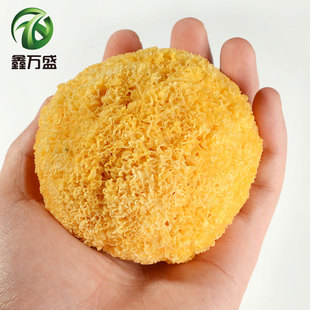 �����خa�����y����؛500g�b����o�˹�����؛Ŵ�������ľ�����l