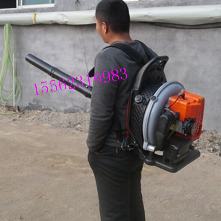 手提式风力灭火器 大功率汽油吹风机 吹树叶吹电焊渣机