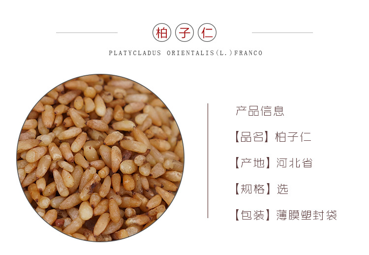 Platycladus Seed Bi Zi Ren 500g Dried Platycladus orientalis Seed for Decoction and Culinary Use overview