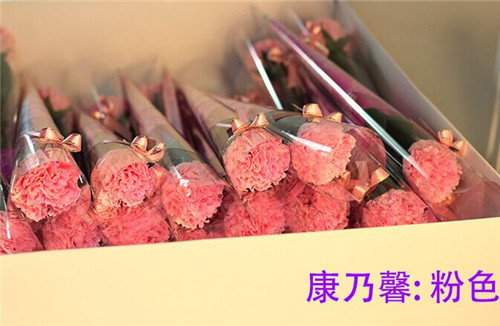 康乃馨粉