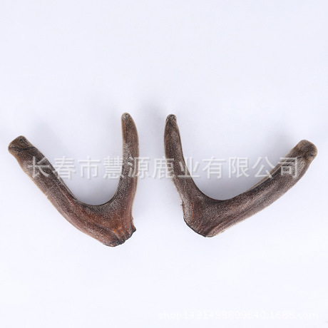 4131356658_1979629486.460x460x