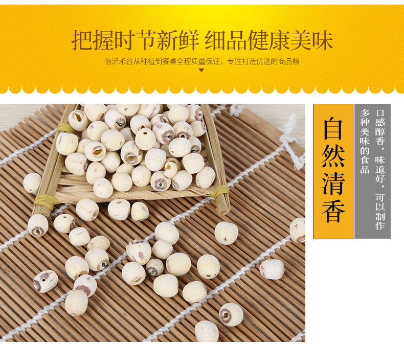 White Lotus Seeds Bai Lian Zi Coreless Low Temperature Dried Culinary Herb Bulk quality and texture