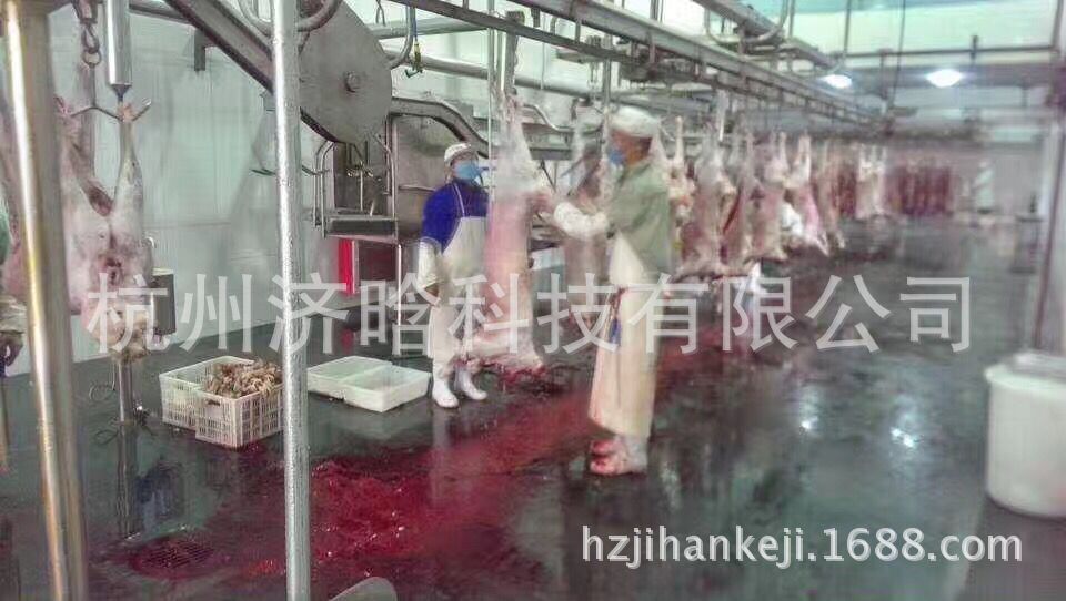 宏偉羊平預剝輸送生產線17