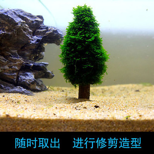 Īz}Qˮ쾰ĪzNľɺĪzrײݸ