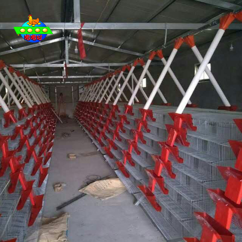 供应批发养殖笼 多层养殖笼子 加工定做各种笼具 价格优惠