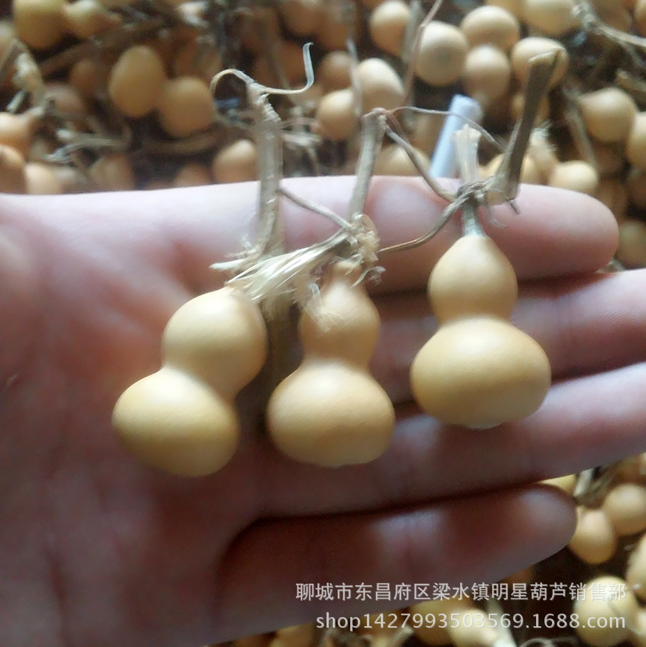 MYXJ_20170209095920_fast