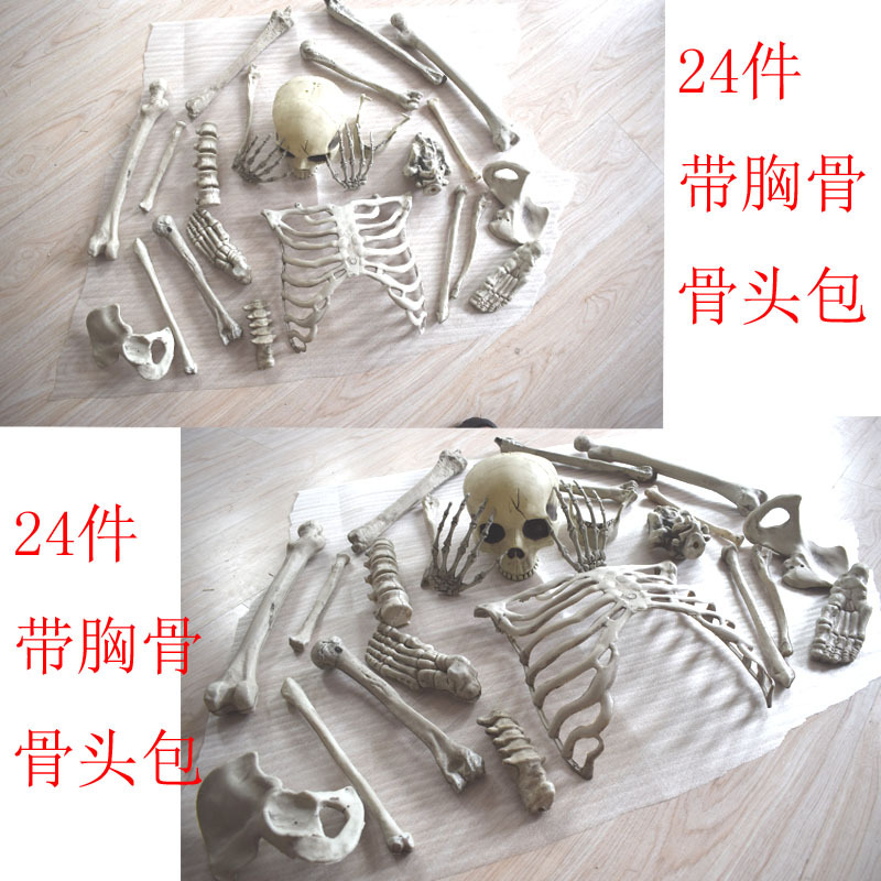 24件骨头包