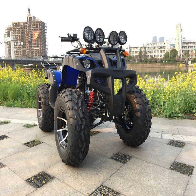 125cc-250cc Быки Beach Cars 12-дюймов Beach Motorcycle, качественный креатив